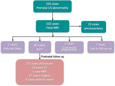 The potential of 1.5 T magnetic resonance imaging for the evaluation of fetal anomalies of the great vessels